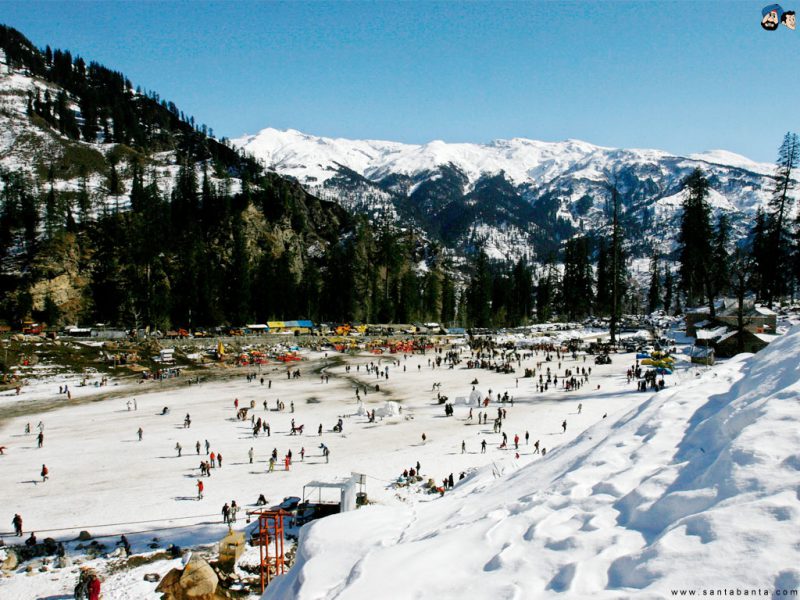  Growing and Reputed travel company in INDIA