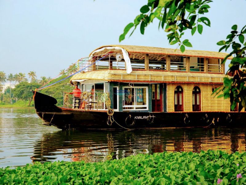  Growing and Reputed travel company in INDIA