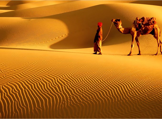  Growing and Reputed travel company in INDIA