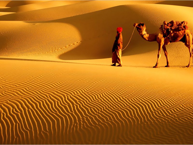 Growing and Reputed travel company in INDIA