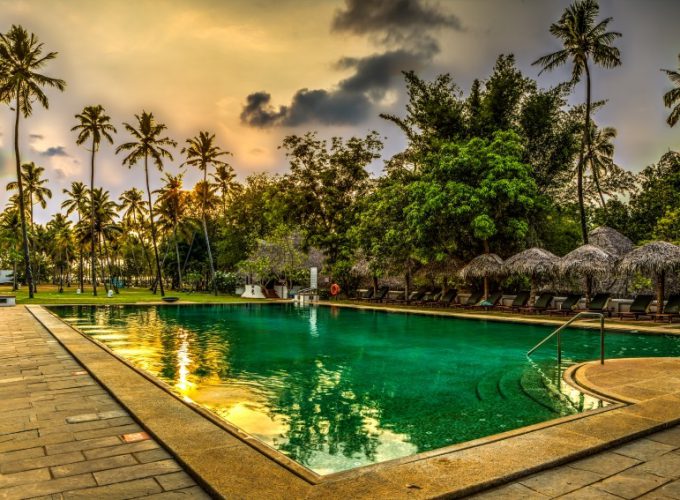  Growing and Reputed travel company in INDIA