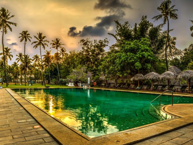  Growing and Reputed travel company in INDIA
