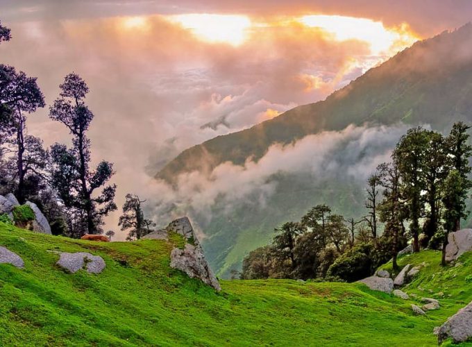  Growing and Reputed travel company in INDIA