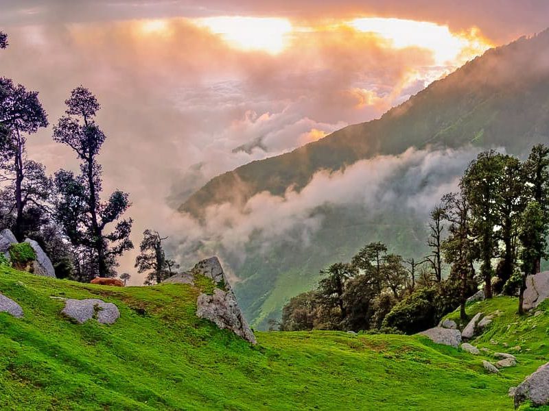  Growing and Reputed travel company in INDIA