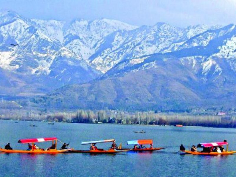  Growing and Reputed travel company in INDIA
